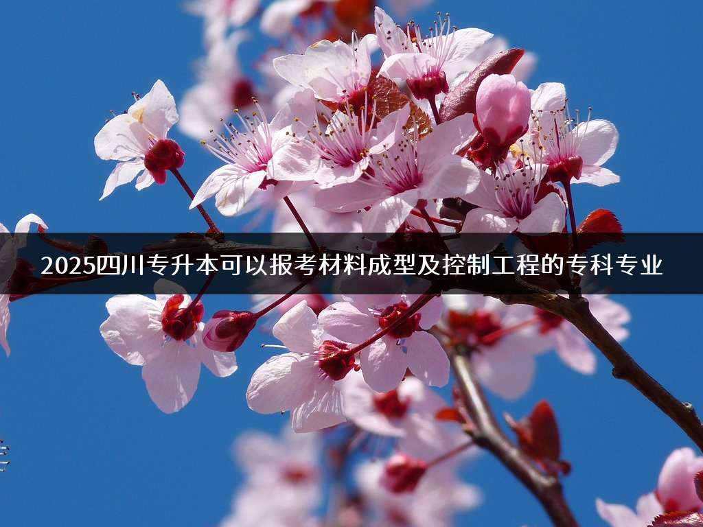 2025四川专升本可以报考材料成型及控制工程的专科专业