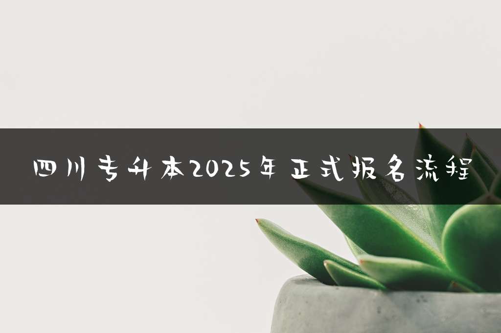 四川专升本2025年正式报名流程