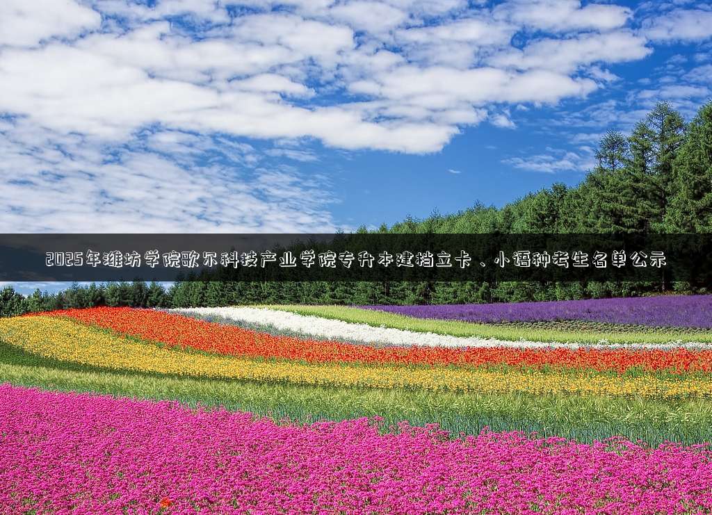 2025年潍坊学院歌尔科技产业学院专升本建档立卡、小语种考生名单公示