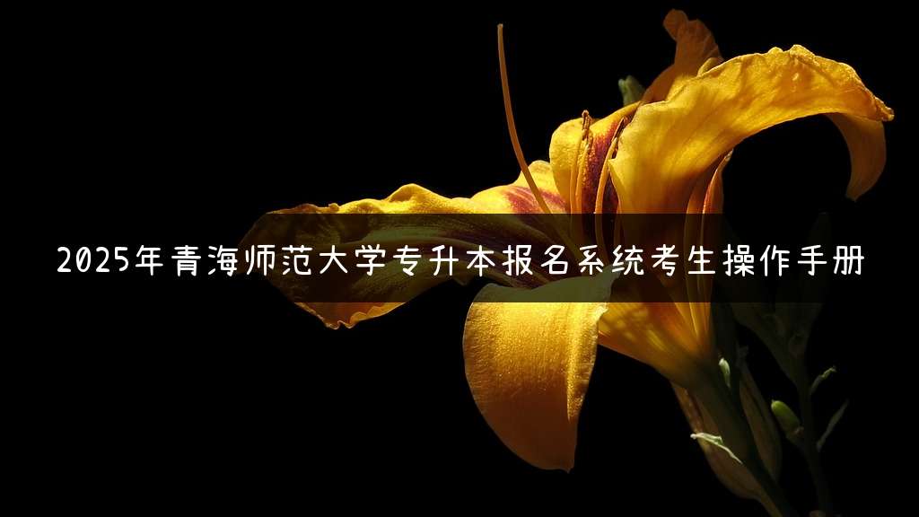 2025年青海师范大学专升本报名系统考生操作手册