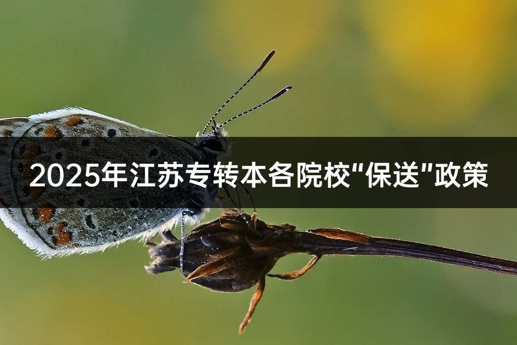 2025年江苏专转本各院校“保送”政策