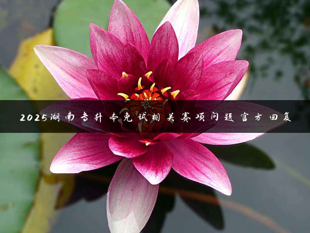 2025湖南专升本免试相关赛项问题官方回复
