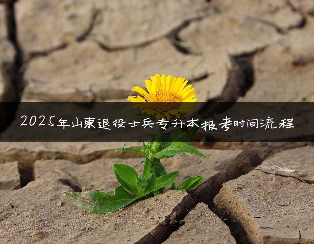 2025年山东退役士兵专升本报考时间流程