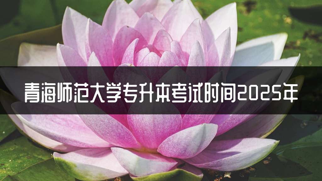 青海师范大学专升本考试时间2025年
