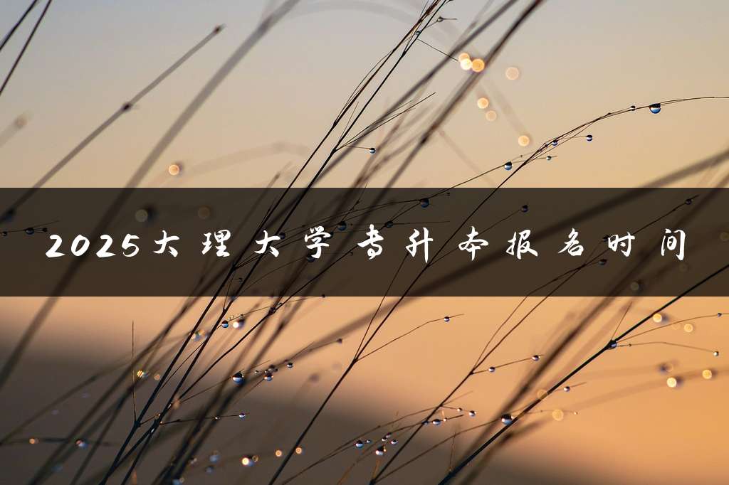 2025大理大学专升本报名时间