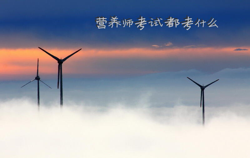 营养师考试都考什么