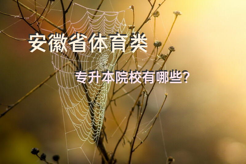 安徽省体育类专升本院校有哪些？