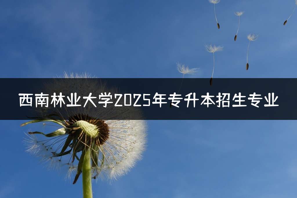 西南林业大学2025年专升本招生专业