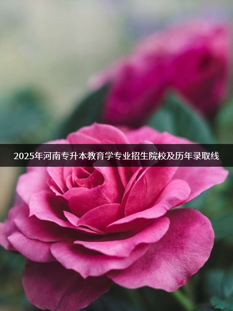 2025年河南专升本教育学专业招生院校及历年录取线