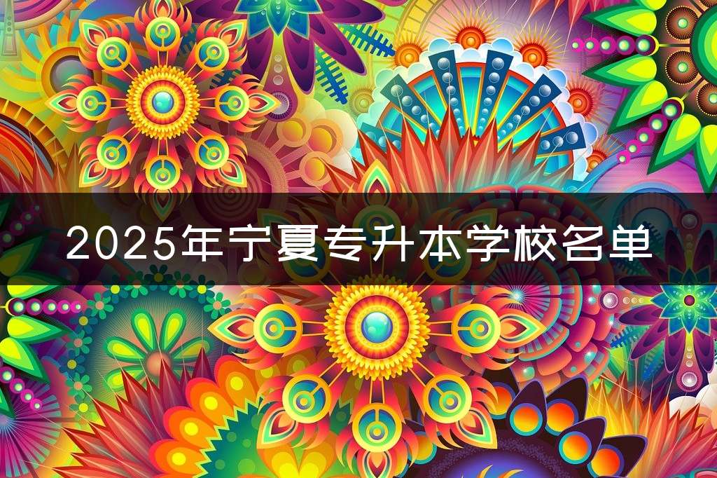 2025年宁夏专升本学校名单
