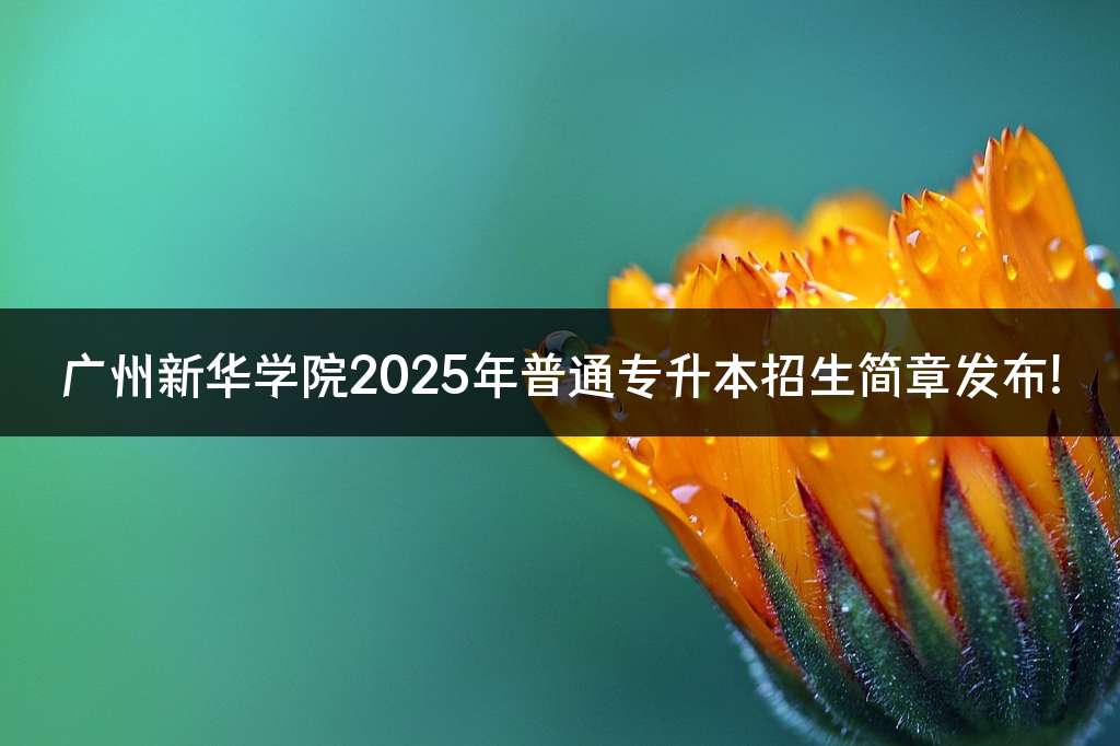 广州新华学院2025年普通专升本招生简章发布!