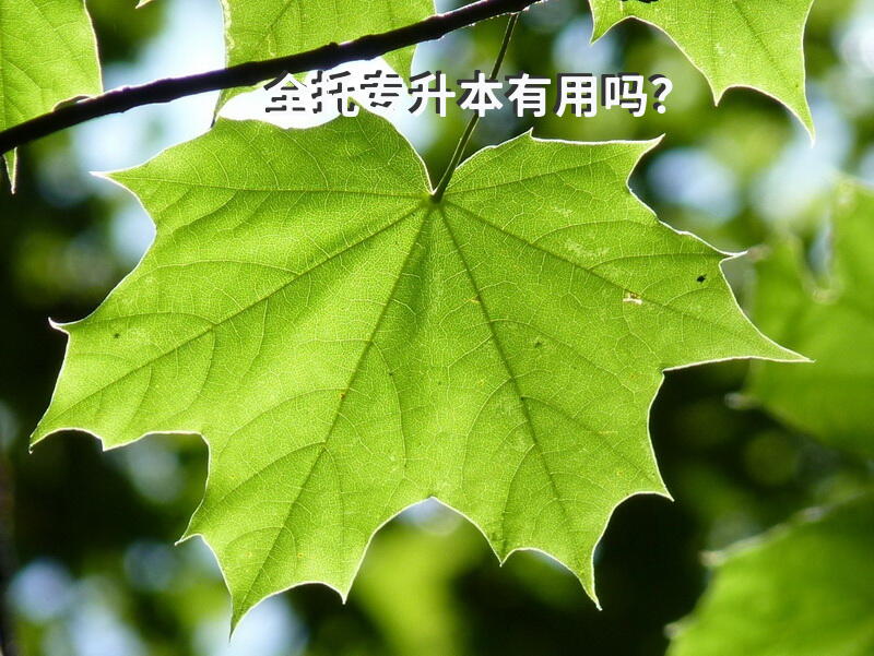 全托专升本有用吗？