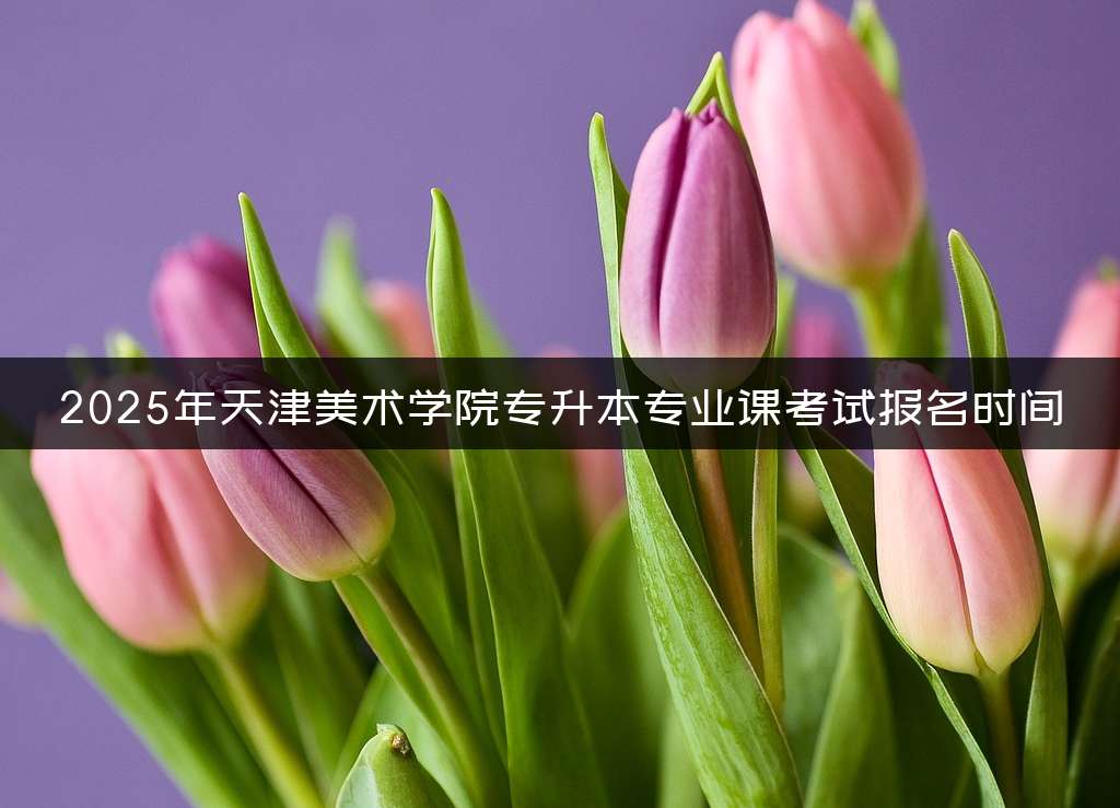 2025年天津美术学院专升本专业课考试报名时间