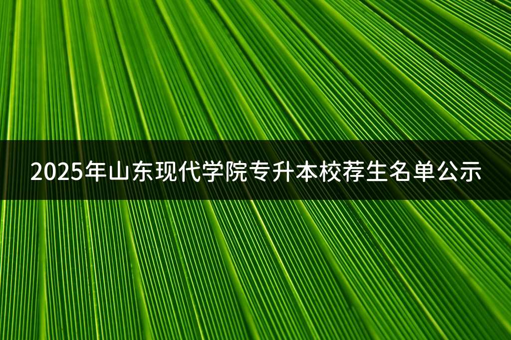 2025年山东现代学院专升本校荐生名单公示