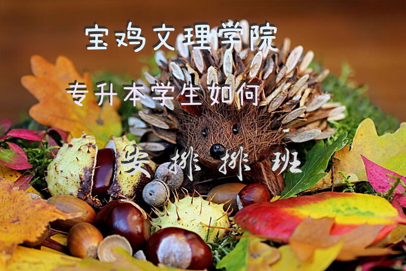 宝鸡文理学院专升本学生如何安排排班