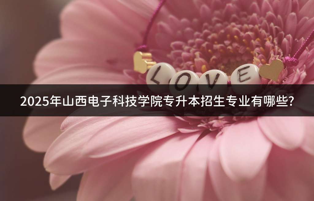 2025年山西电子科技学院专升本招生专业有哪些?