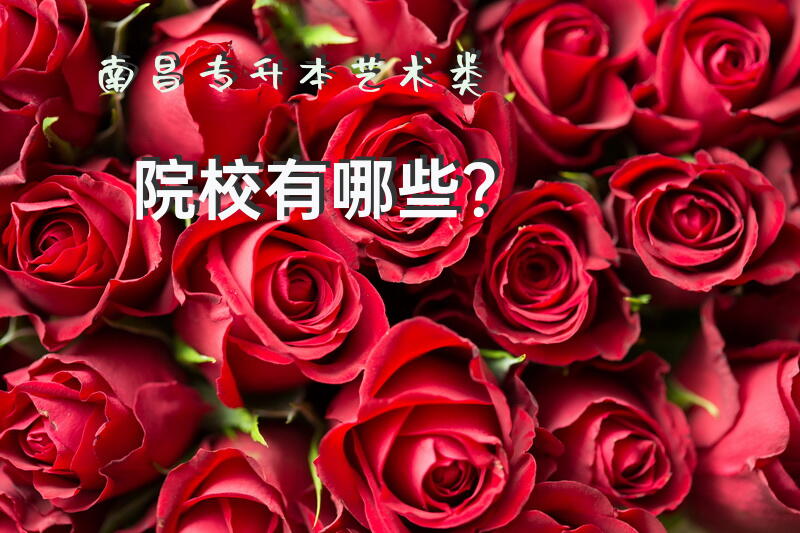 南昌专升本艺术类院校有哪些？