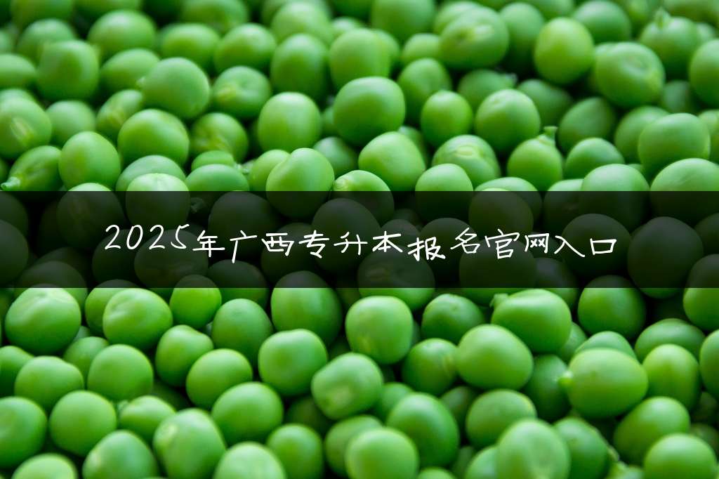 2025年广西专升本报名官网入口