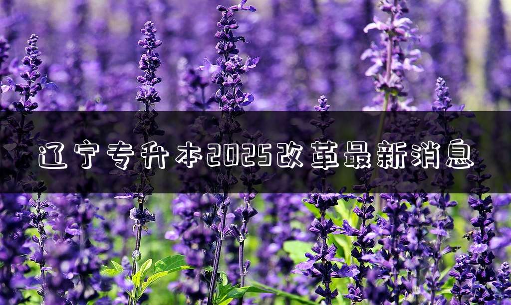 辽宁专升本2025改革最新消息