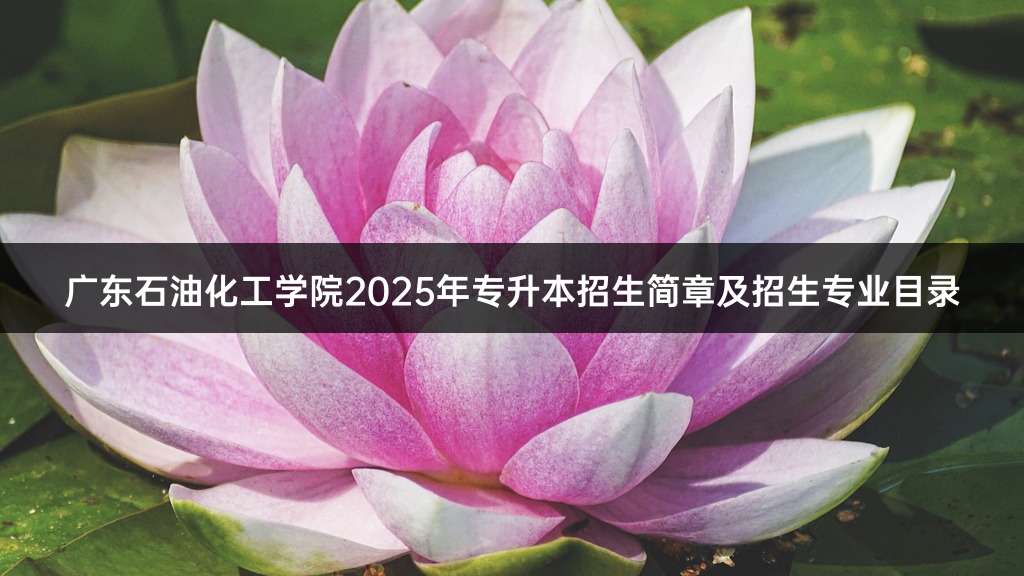 广东石油化工学院2025年专升本招生简章及招生专业目录