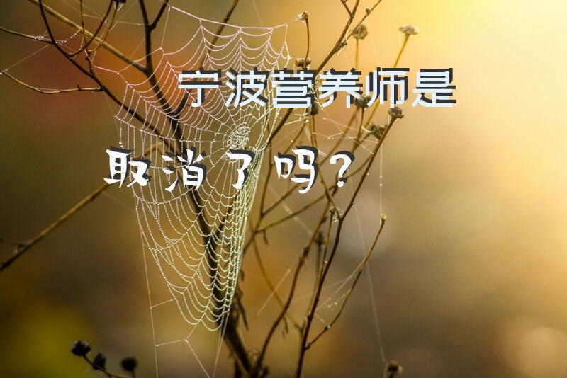 宁波营养师是取消了吗？