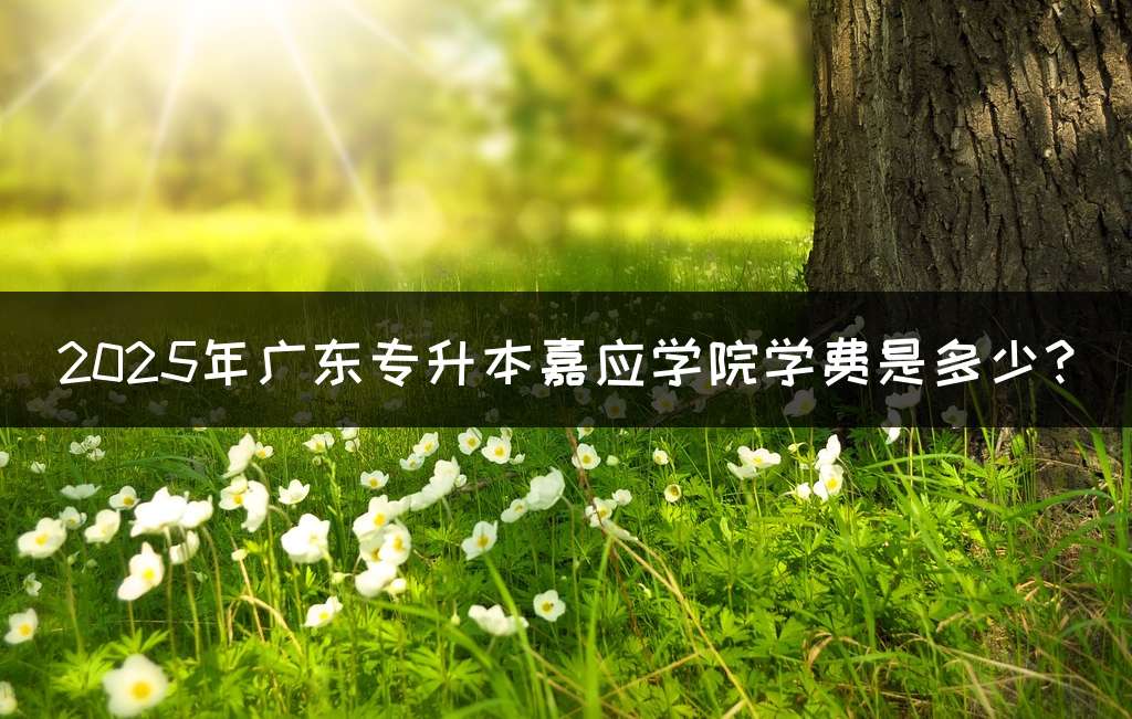 2025年广东专升本嘉应学院学费是多少?