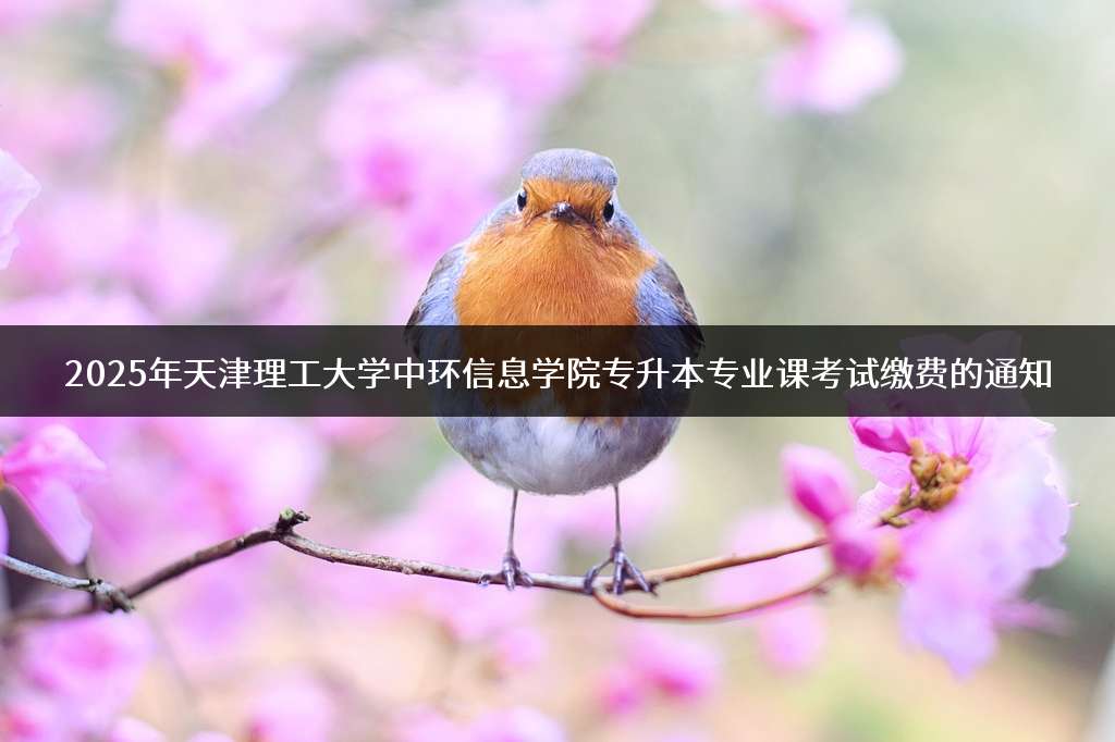 2025年天津理工大学中环信息学院专升本专业课考试缴费的通知