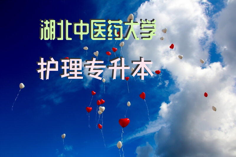 湖北中医药大学护理专升本