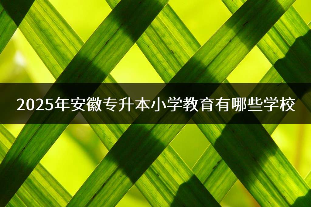 2025年安徽专升本小学教育有哪些学校