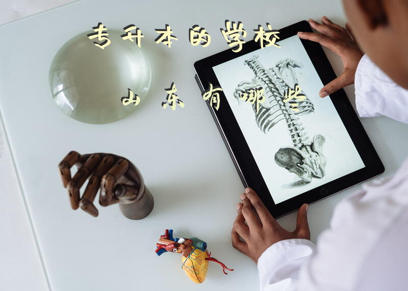 专升本的学校山东有哪些