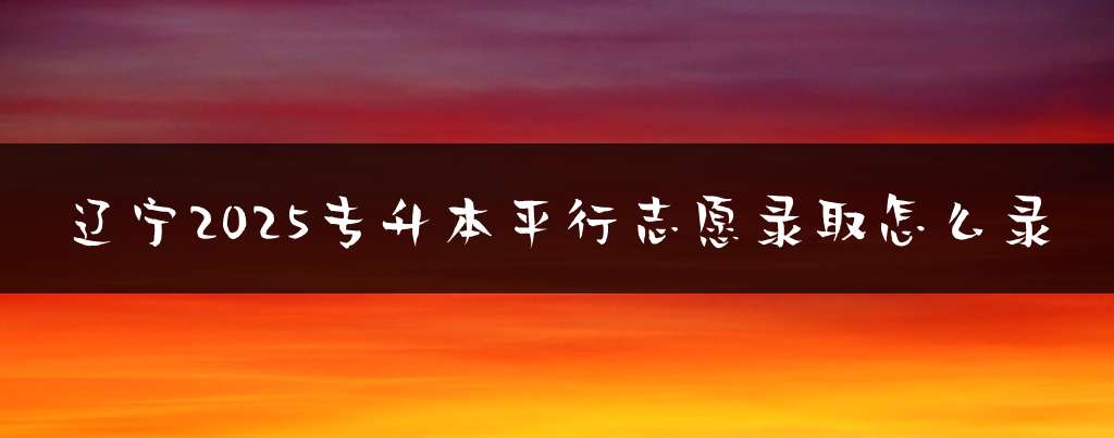 辽宁2025专升本平行志愿录取怎么录