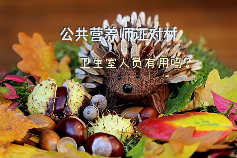 公共营养师证对村卫生室人员有用吗？