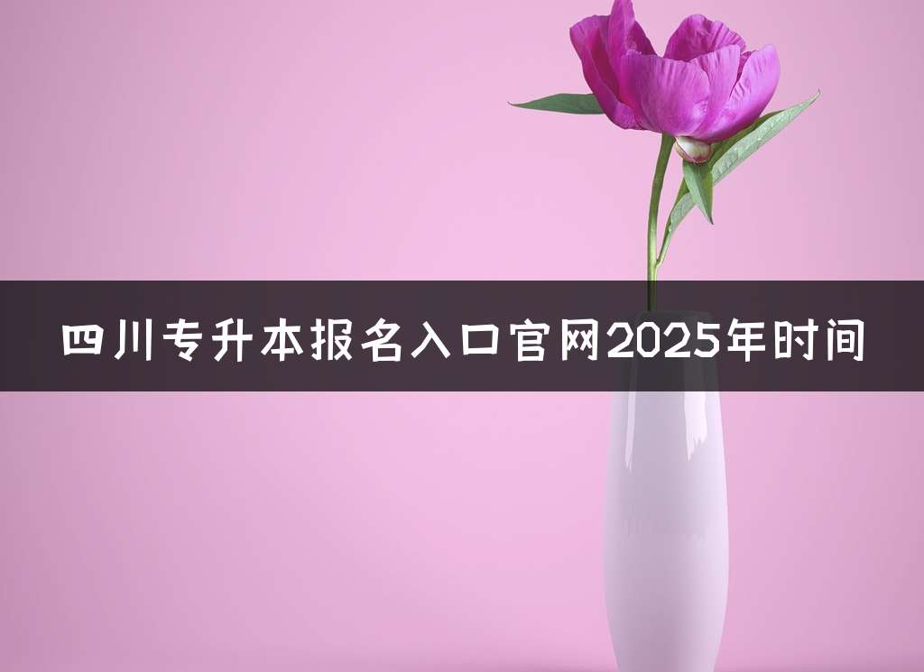 四川专升本报名入口官网2025年时间