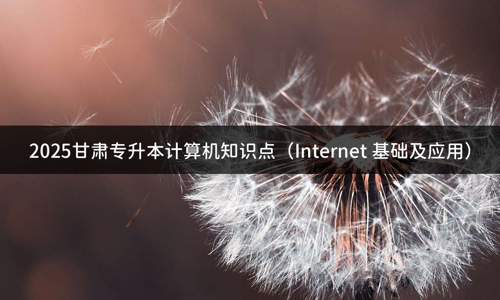 2025甘肃专升本计算机知识点（Internet 基础及应用）