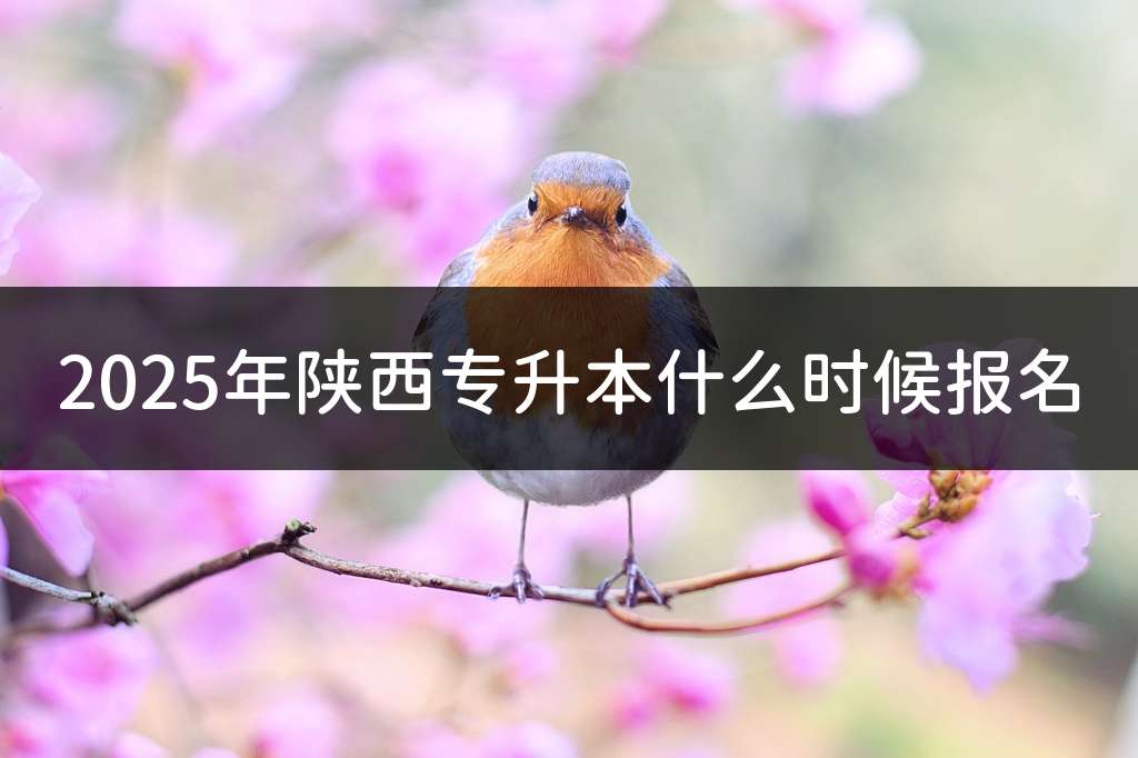 2025年陕西专升本什么时候报名