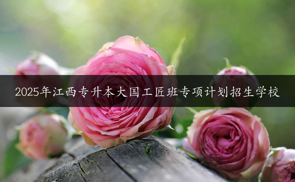 2025年江西专升本大国工匠班专项计划招生学校