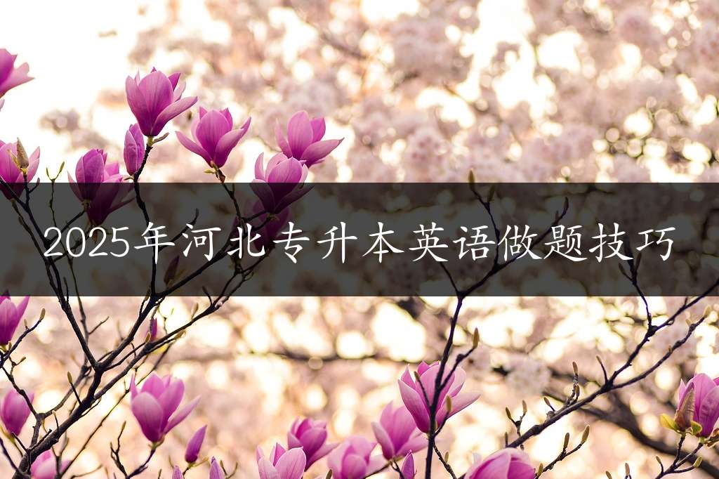 2025年河北专升本英语做题技巧