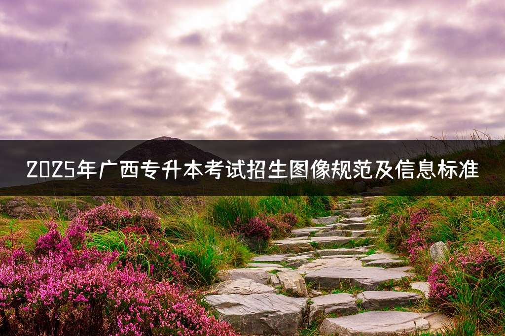 2025年广西专升本考试招生图像规范及信息标准