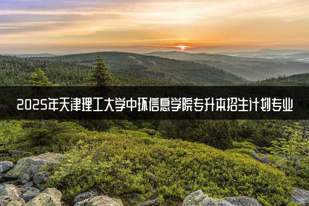 2025年天津理工大学中环信息学院专升本招生计划专业