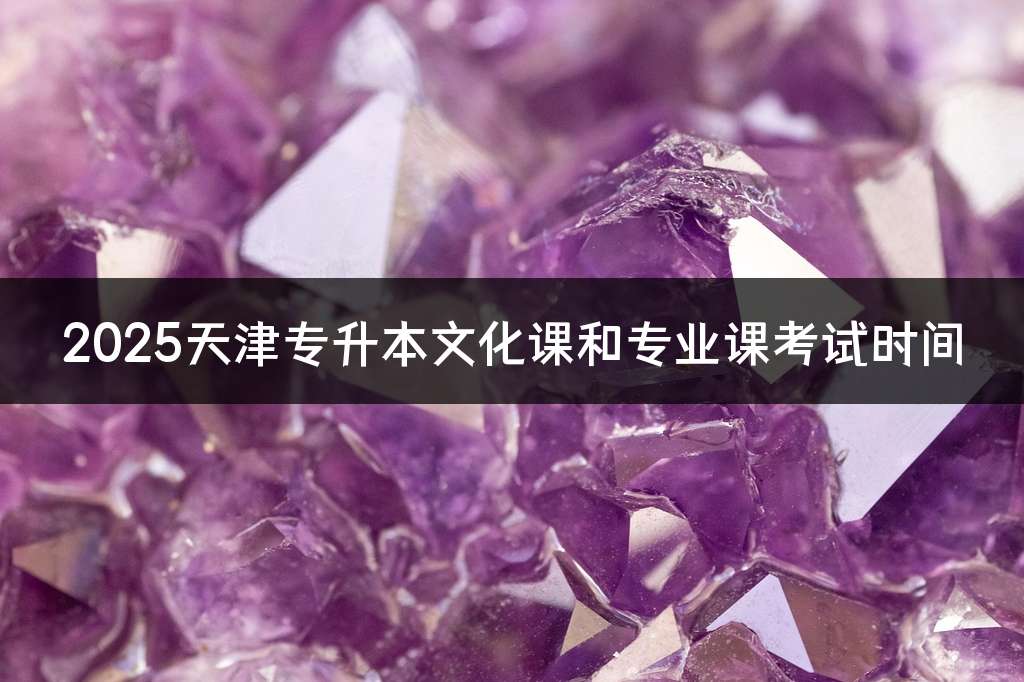 2025天津专升本文化课和专业课考试时间
