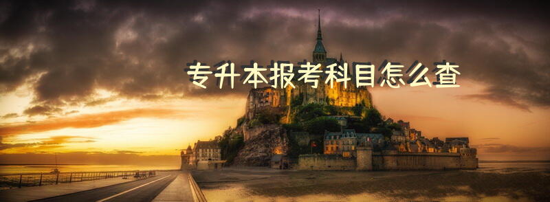 专升本报考科目怎么查