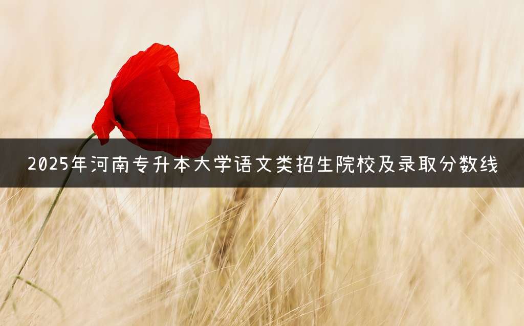 2025年河南专升本大学语文类招生院校及录取分数线