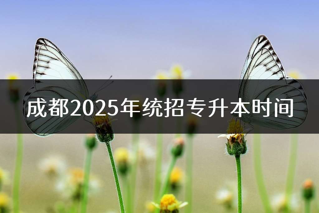 成都2025年统招专升本时间