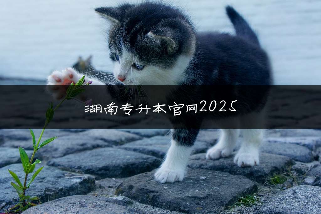 湖南专升本官网2025