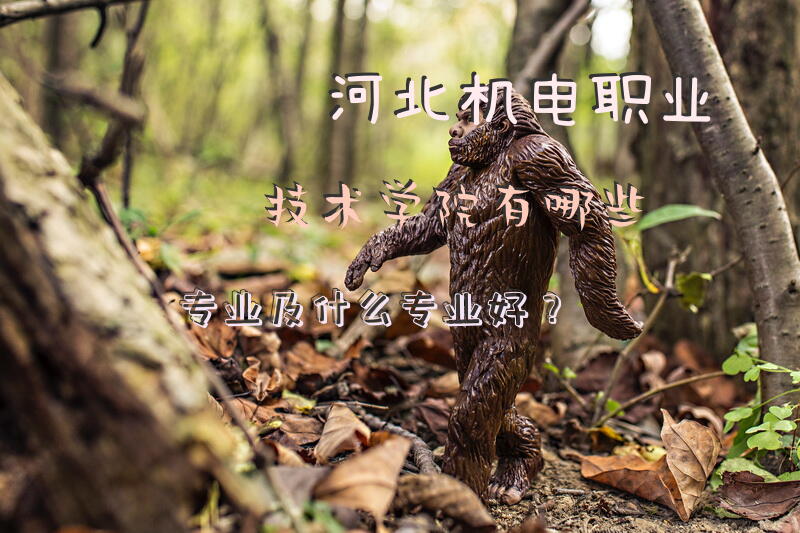 河北机电职业技术学院有哪些专业及什么专业好？