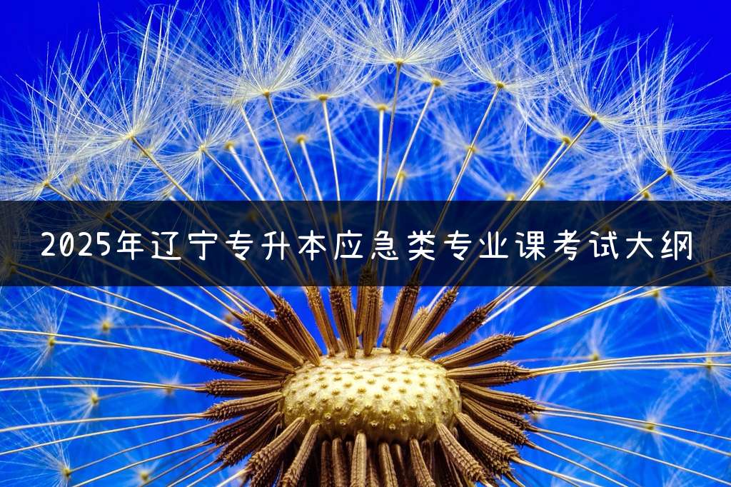 2025年辽宁专升本应急类专业课考试大纲