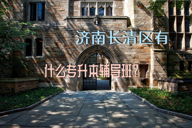 济南长清区有什么专升本辅导班？
