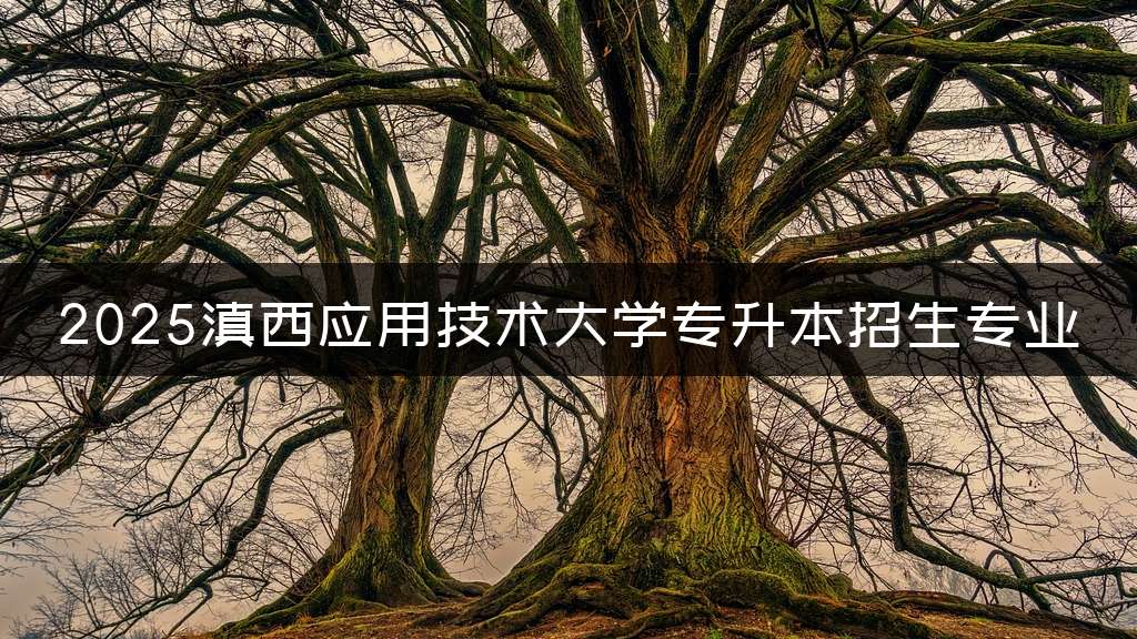 2025滇西应用技术大学专升本招生专业