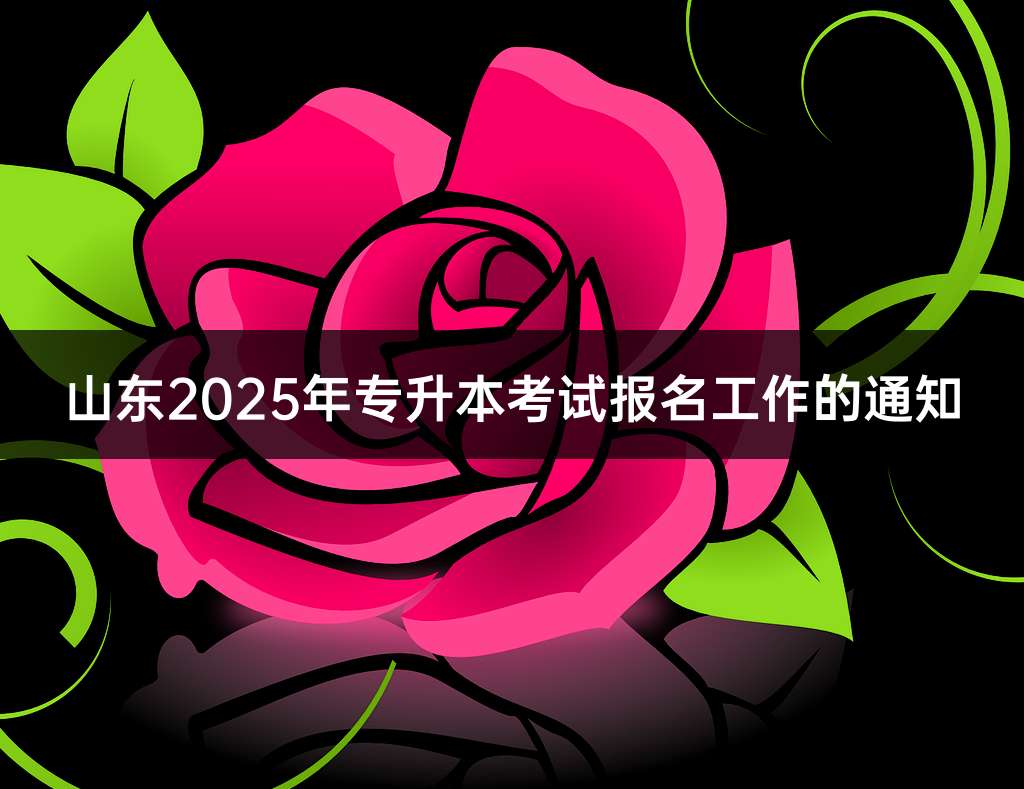 山东2025年专升本考试报名工作的通知