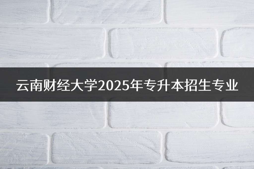 云南财经大学2025年专升本招生专业